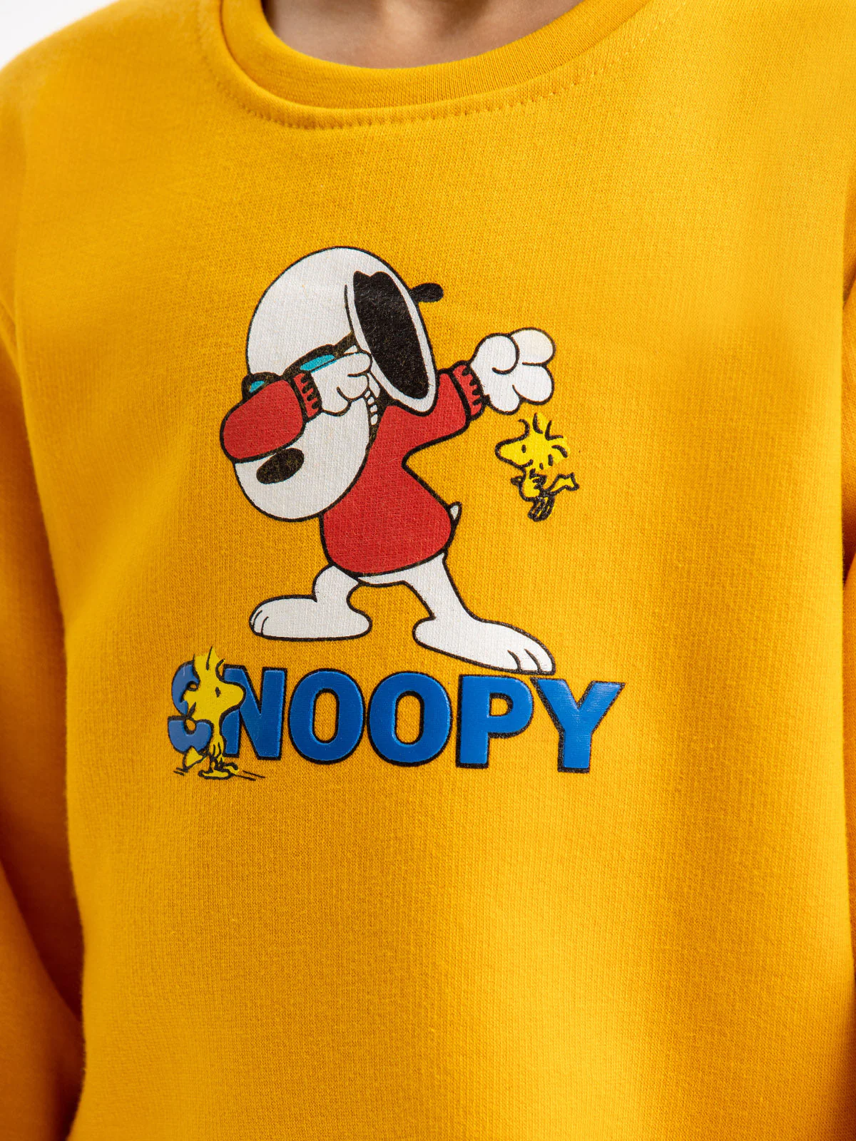 Boy's Mustard Sweatshirt - EBTSS23-016 - Image 5
