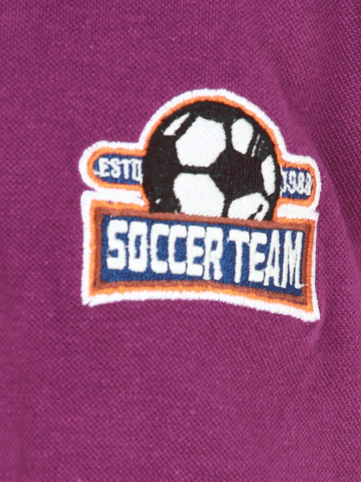 Boy's Purple Polo Shirt - EBTPS22-017 - Image 4