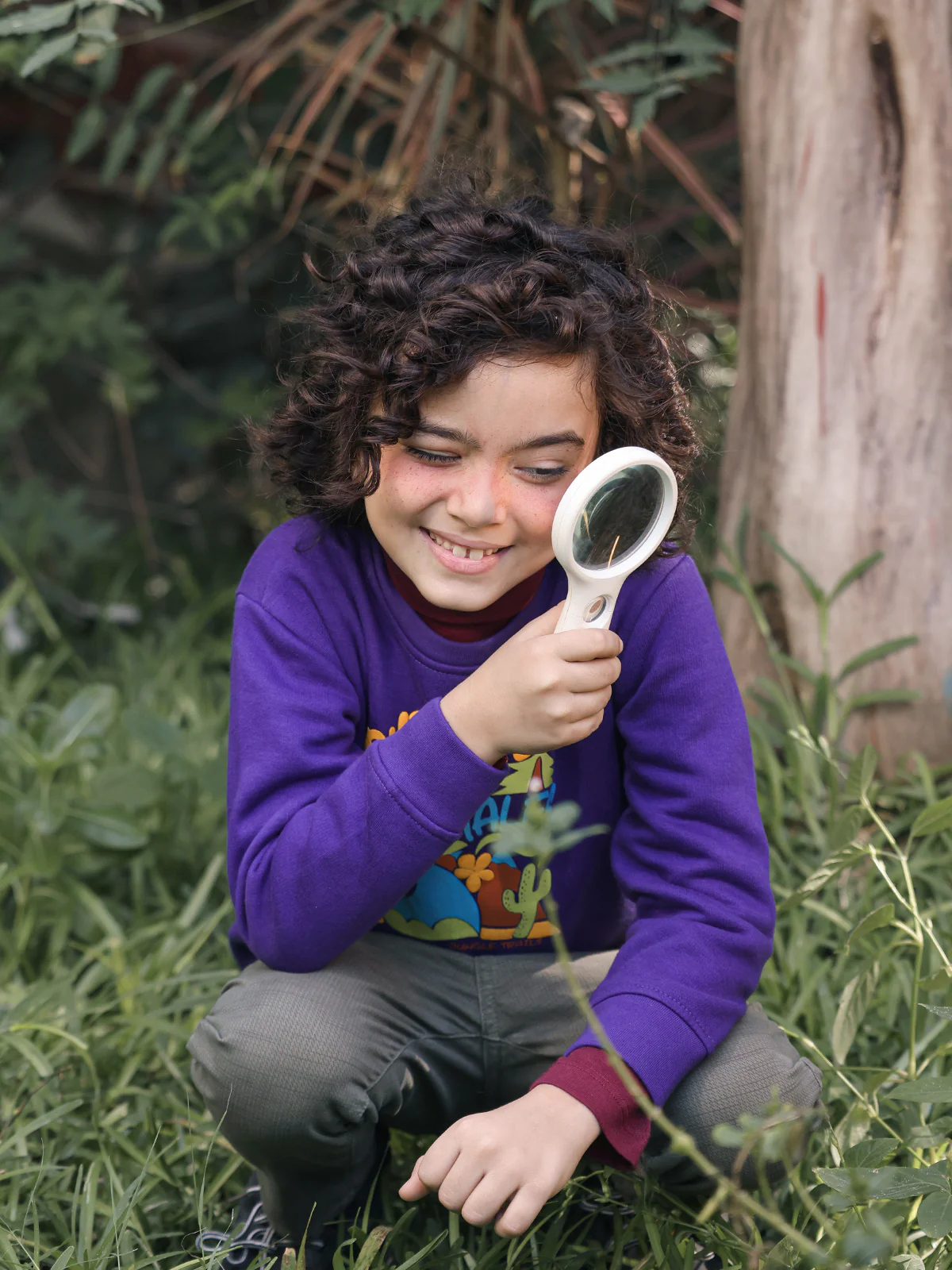 Boy's Purple Sweatshirt - EBTSS23-015 - Image 4