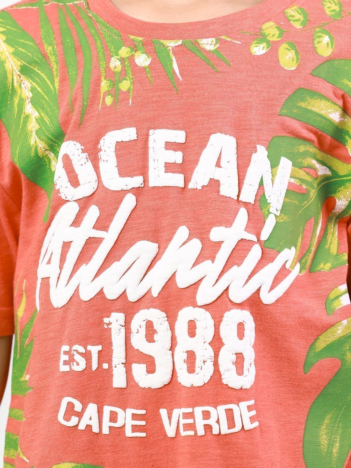 Boy's Soft Lime T-Shirt - EBTTS22-009 - Image 3