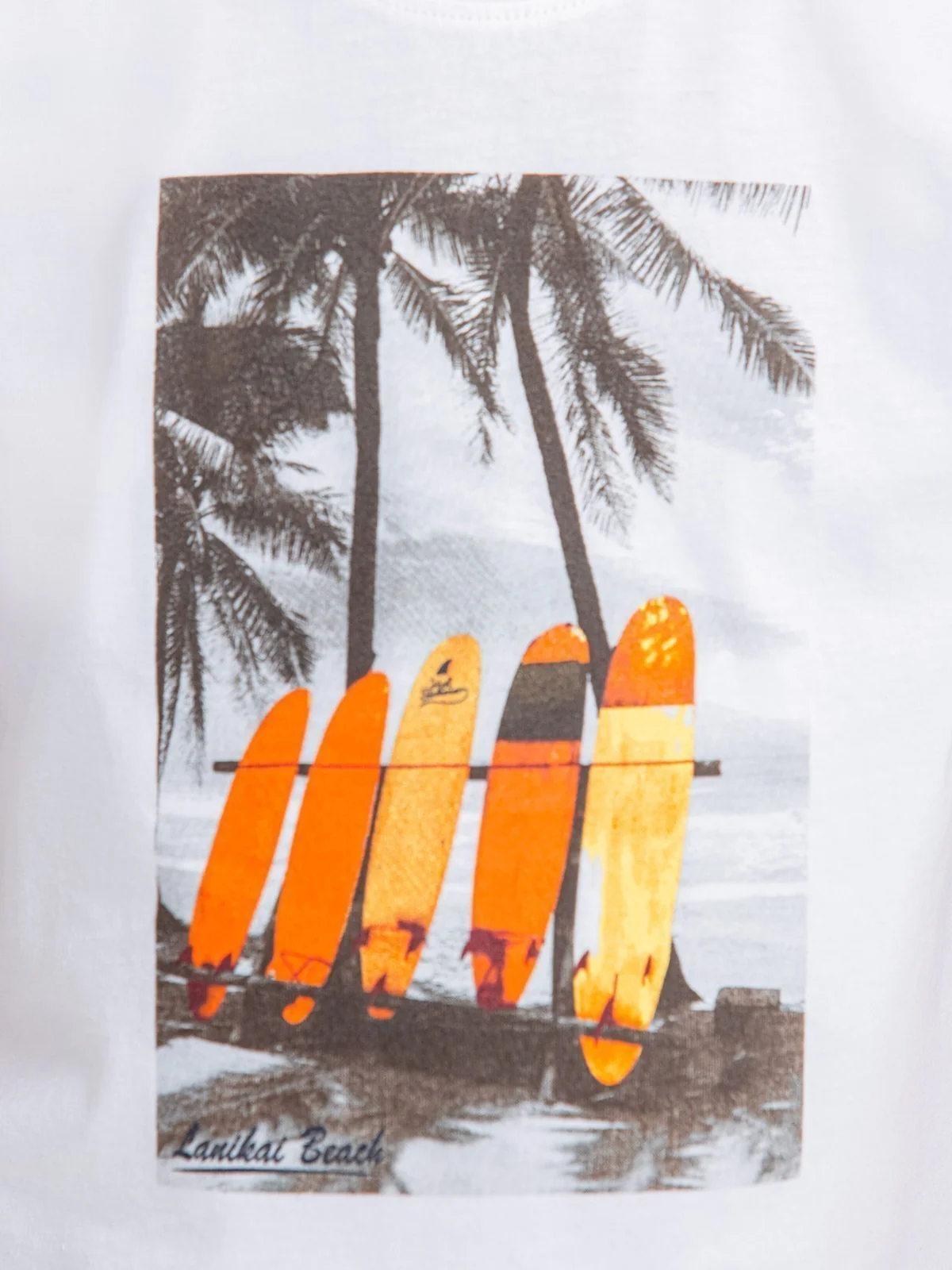 Boy's White T-Shirt - EBTTS23-041 - Image 5