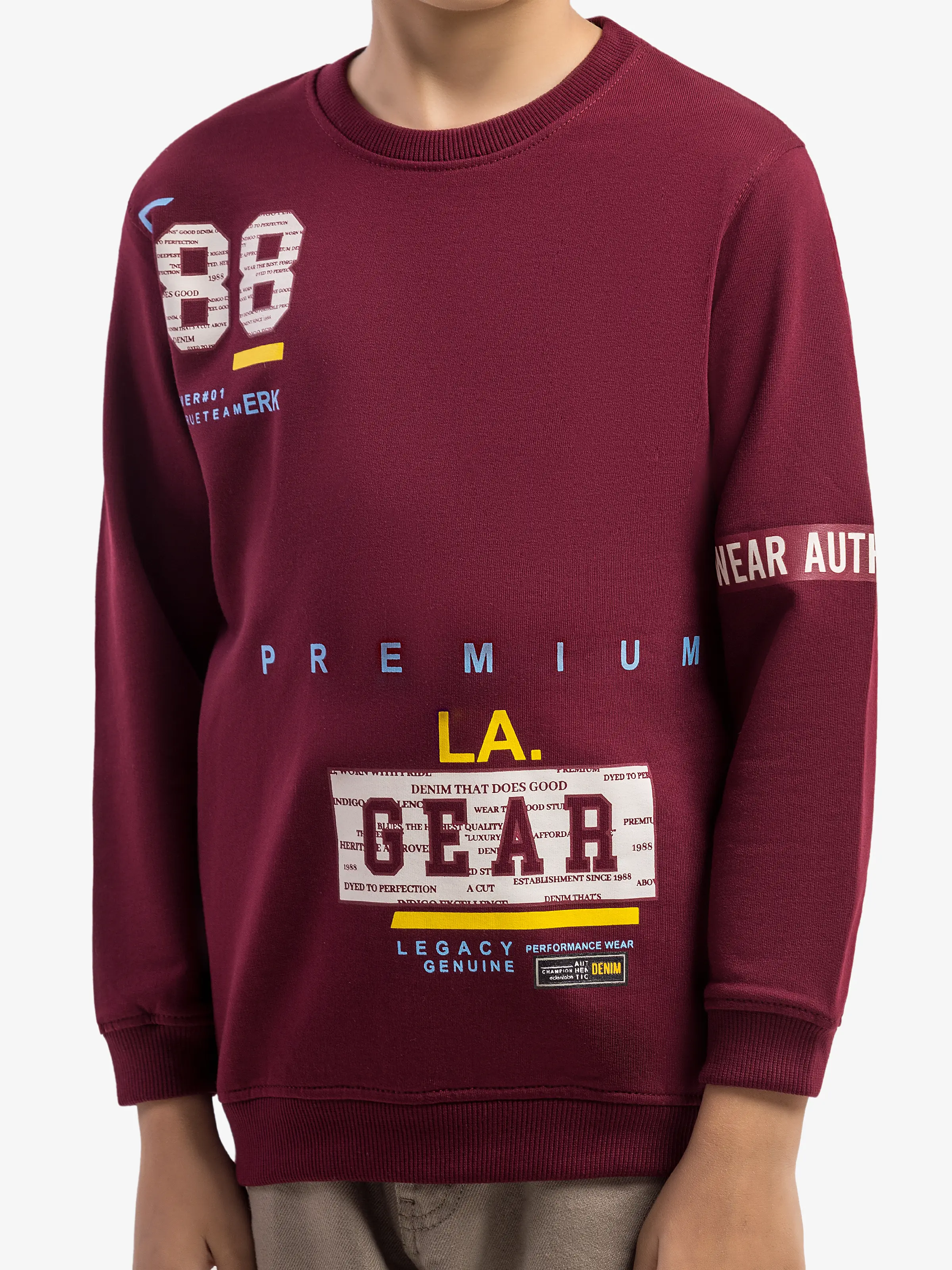 Boy's Maroon Sweatshirt - EBTSS5-017 - Image 2