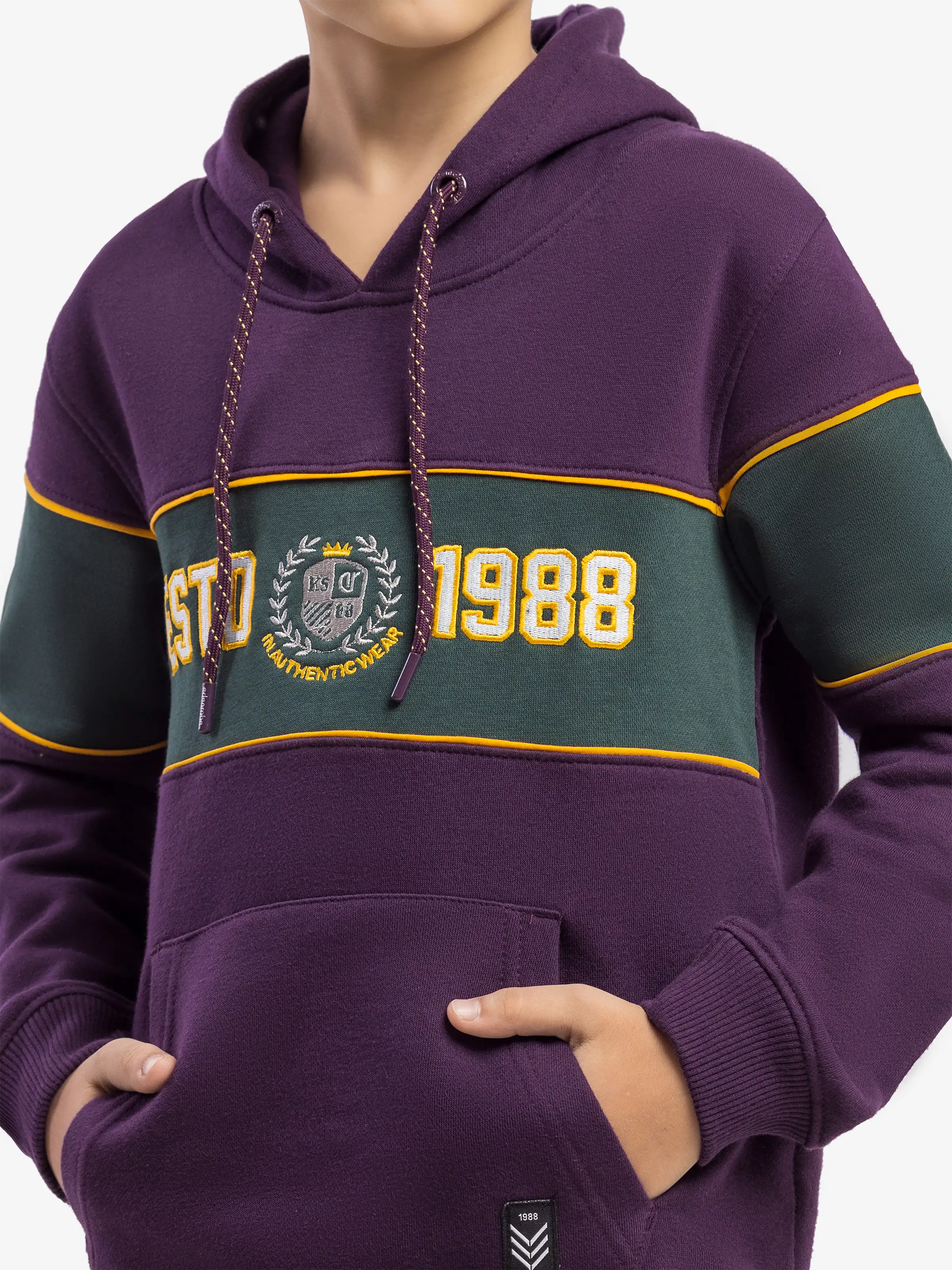 Boy's Purple Hoodie - EBTH5-012 - Image 2