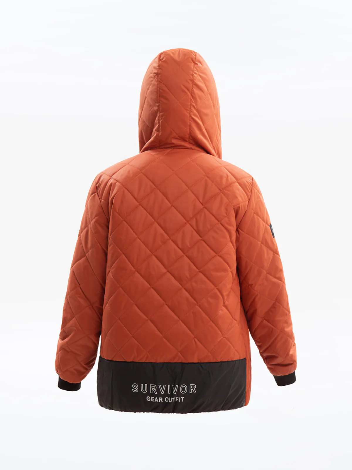 Boy's Rust Jacket - EBTJP23-002 - Image 8