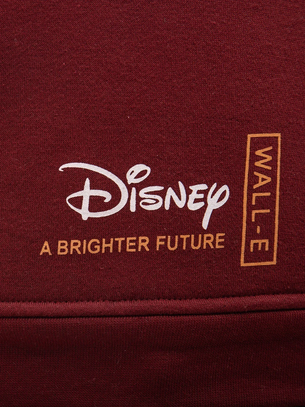 Boy's Maroon Hoodie - EBTH21-004 - Image 4