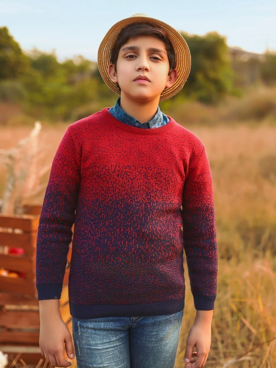 Boy's Maroon Sweater - EBTSWT20-006 - Image 2