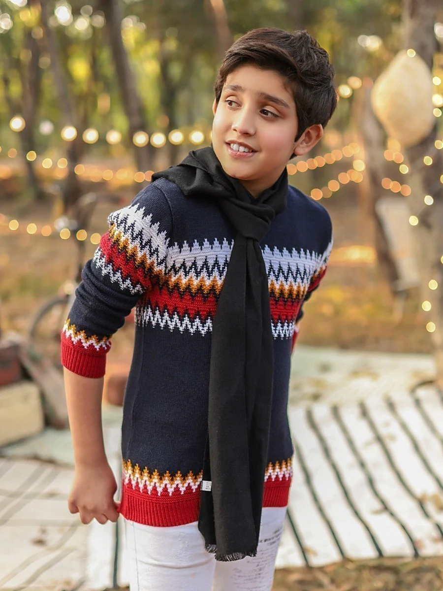 Boy's Navy Blue Sweater - EBTSWT20-009 - Image 4