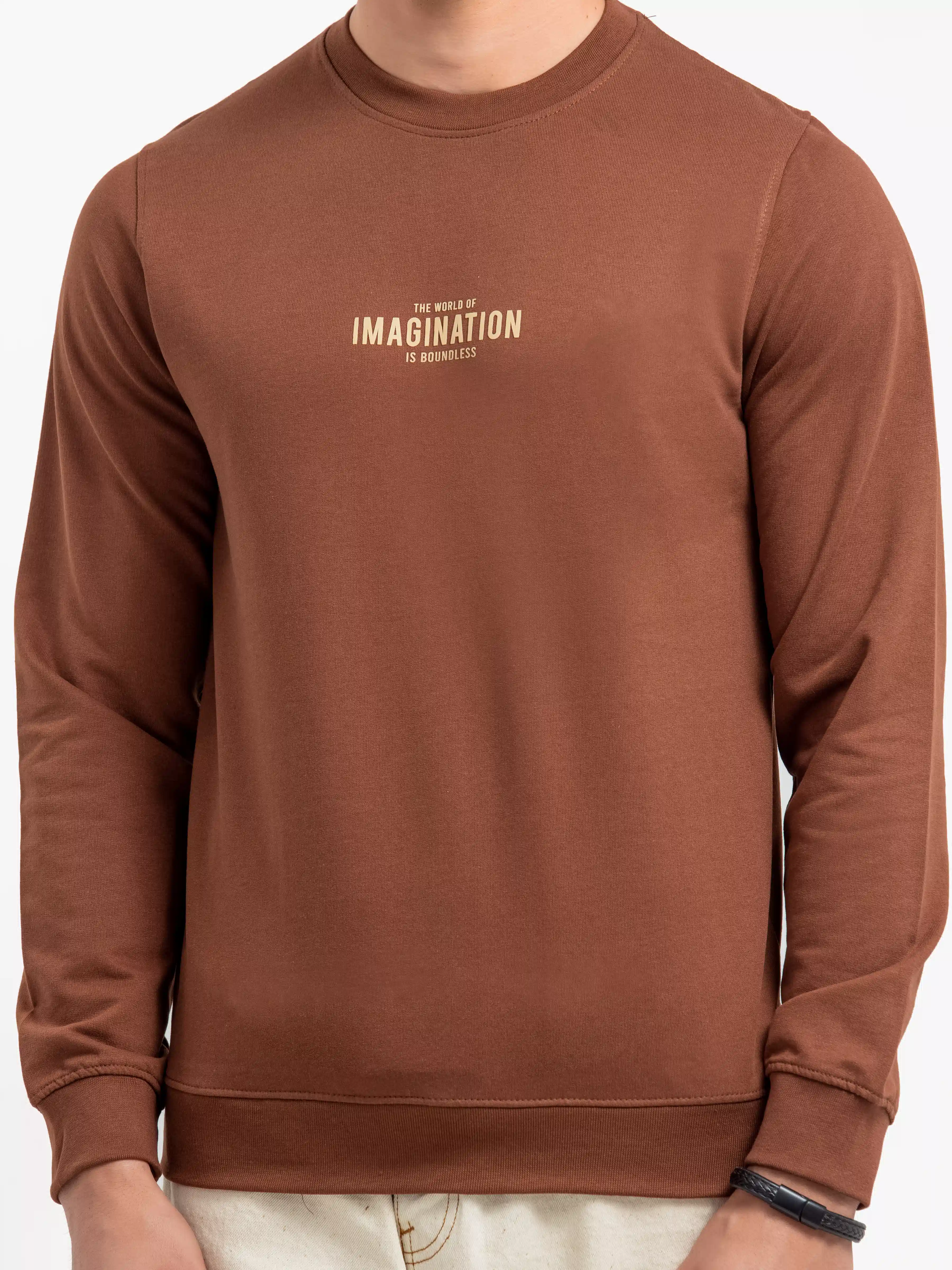 Men's Dark Brown Sweatshirt - EMTSS24-006 - Image 3