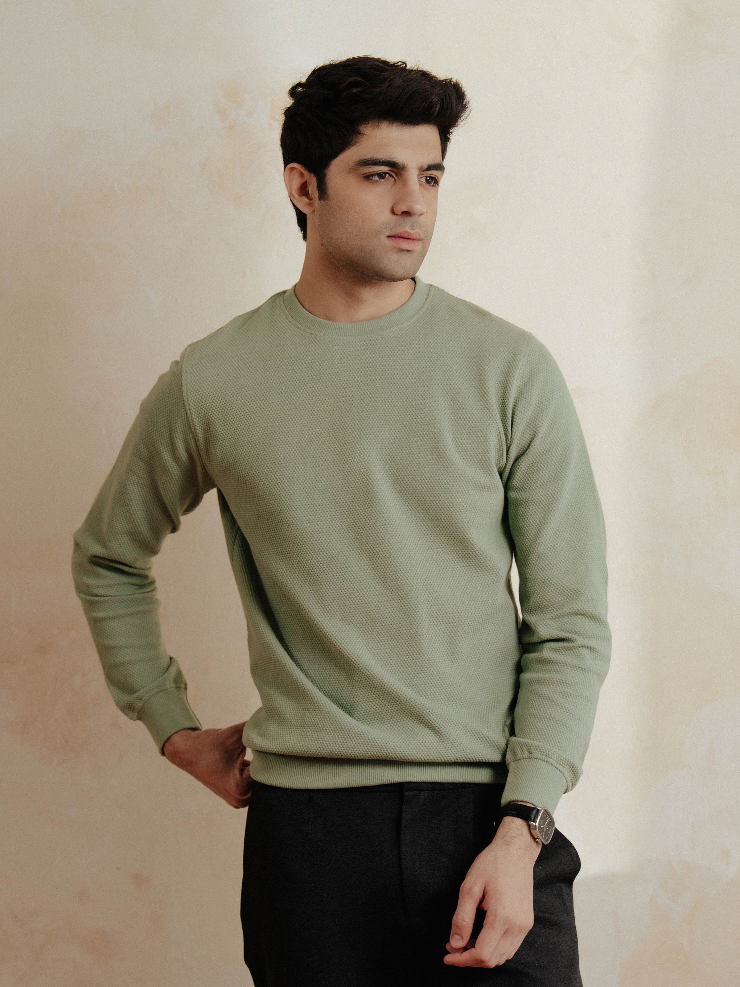 Men's Light Green Sweatshirt - EMTSS5-008