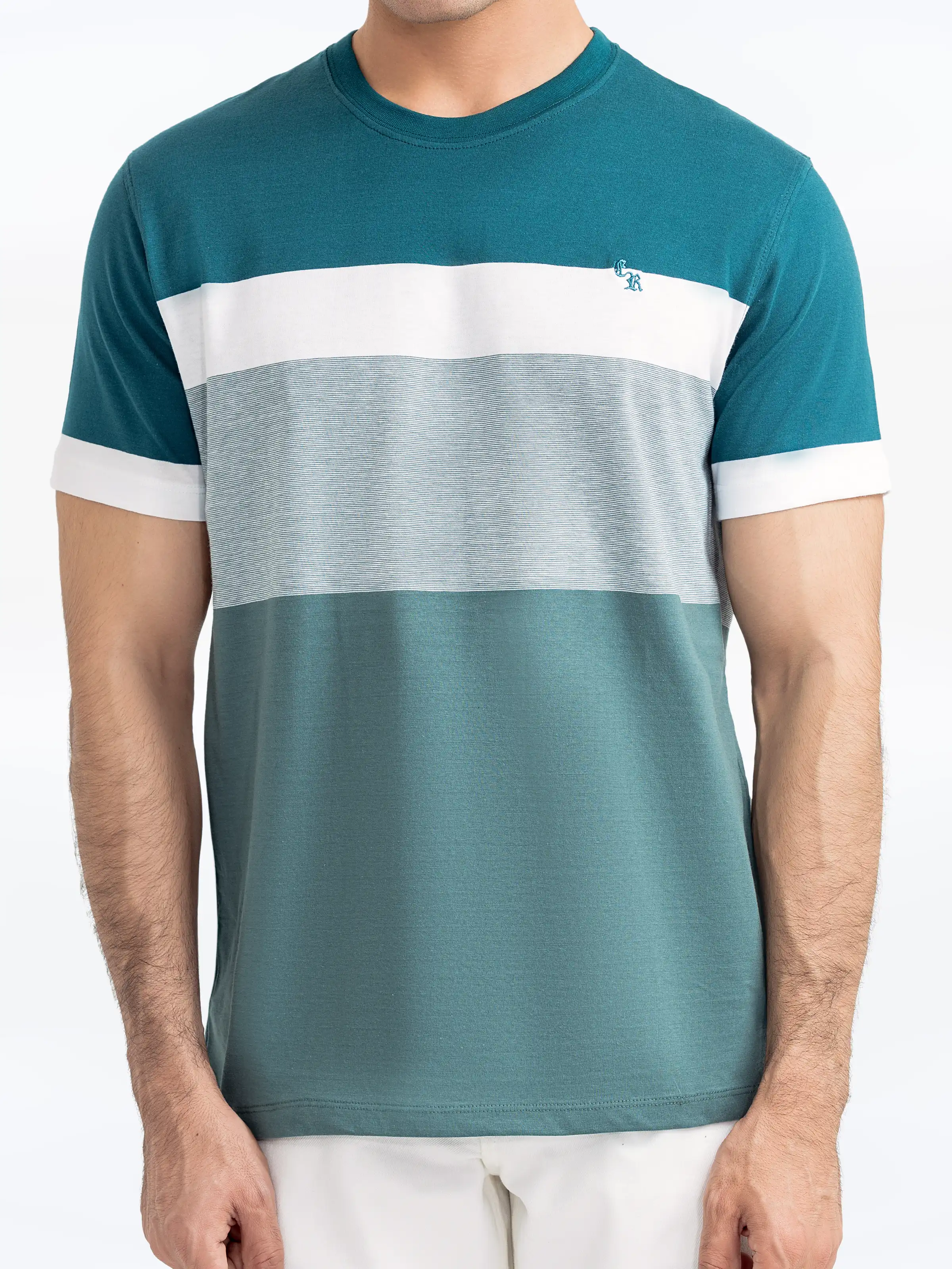 Men's Sea Green Graphic Tee - EMTGT24-013 - Image 3