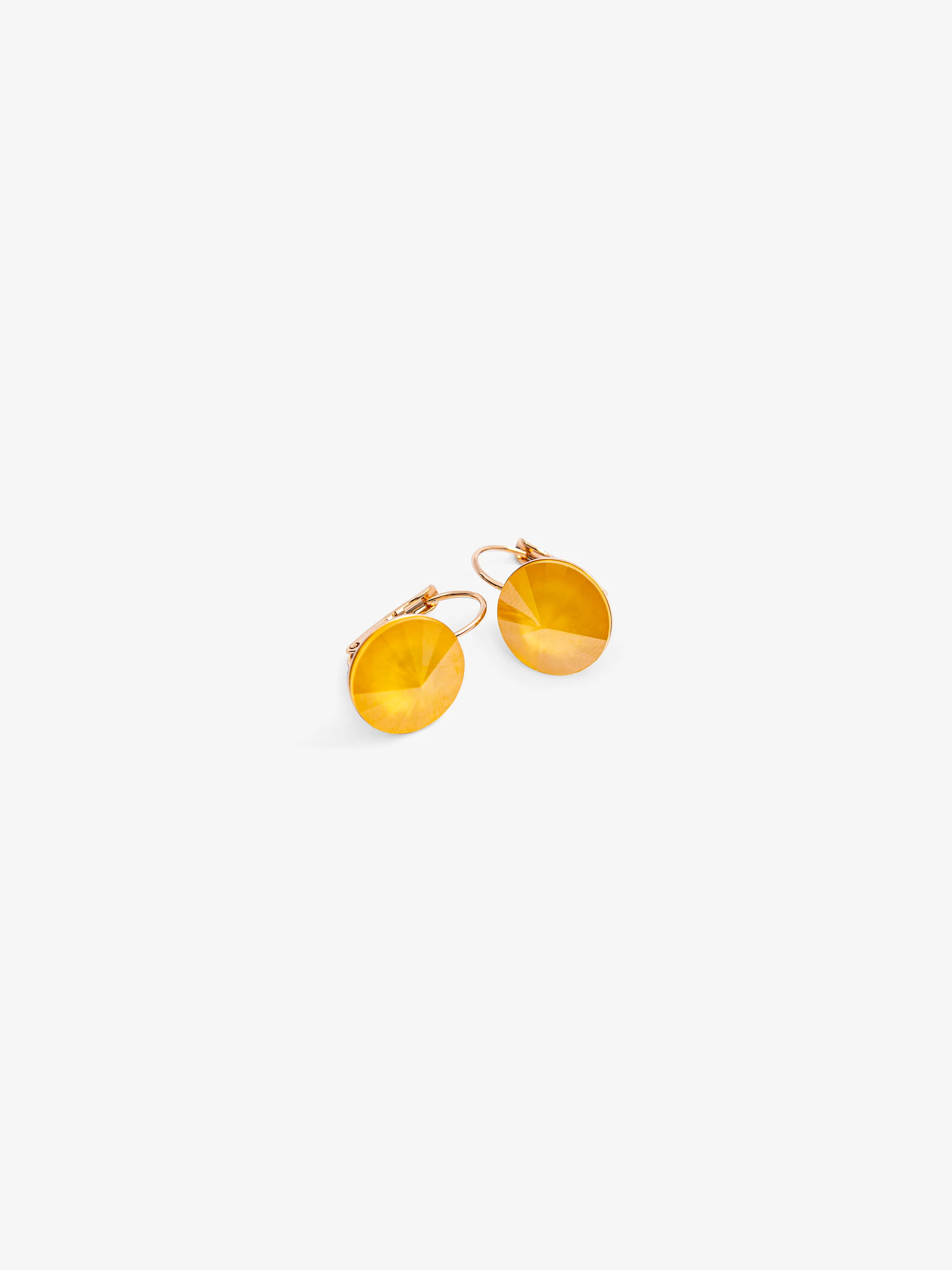 Golden Bloom Earrings - EAWE5-098 - Image 2
